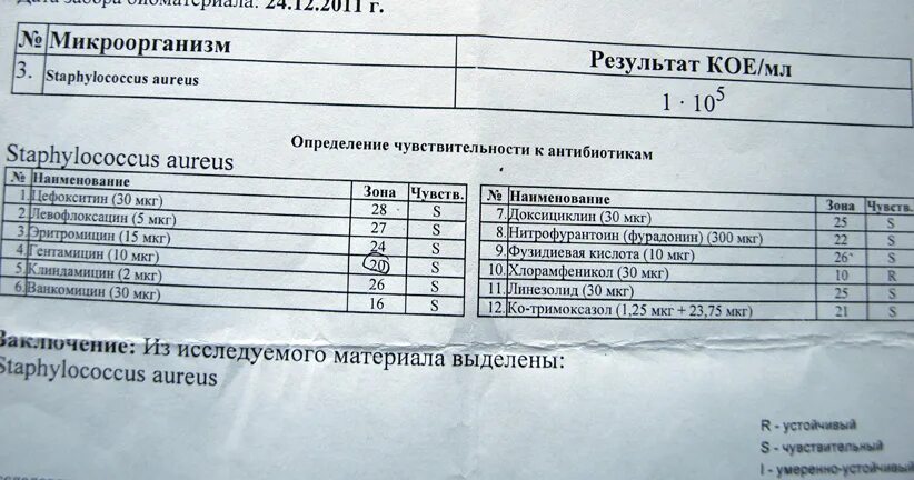 Исследование мокроты на чувствительность к антибиотикам. Мокрота на микрофлору и чувствительность. Посев мокроты на микрофлору. Бланк анализа мочи на флору и чувствительность к антибиотикам. Бак исследование мокроты заключение.