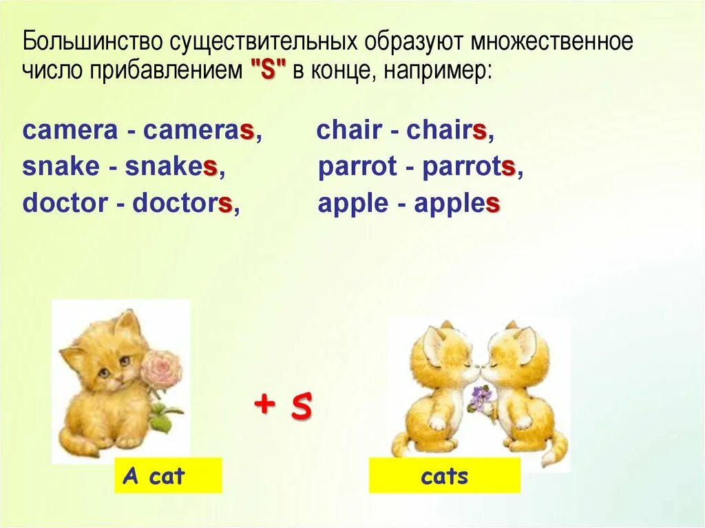 Единственное и множественное число в английском языке 2 класс правило. Правило сущ во мн числе англ яз. Правило англ яз множественное число. Правило по английскому множественное число существительных 2 класс. Тьма во множественном