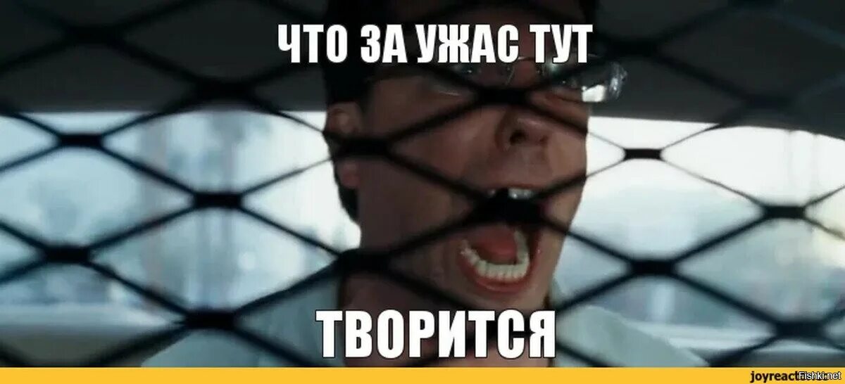 Что у вас тут происходит мем. Что за ужас тут творится. что за ужас тут творится мем. какого черта тут творится. что за ужас тут творится мальчишник.
