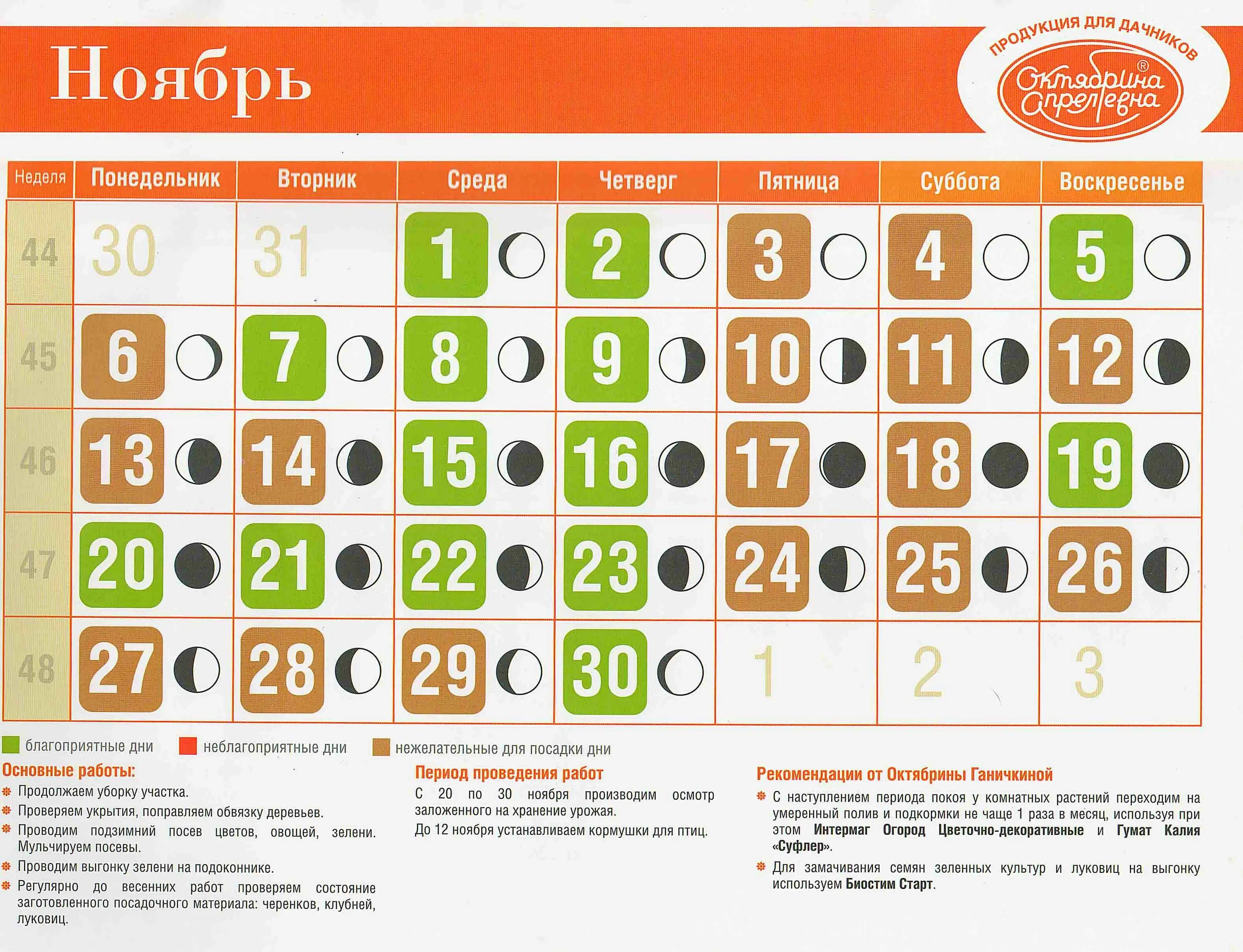 Самые благоприятные дни в ноябре. Неблагоприятные дни в ноябре. посадочные дни в ноябре. лунный календарь на ноябрь. благоприятные дни для посадки эустомы.