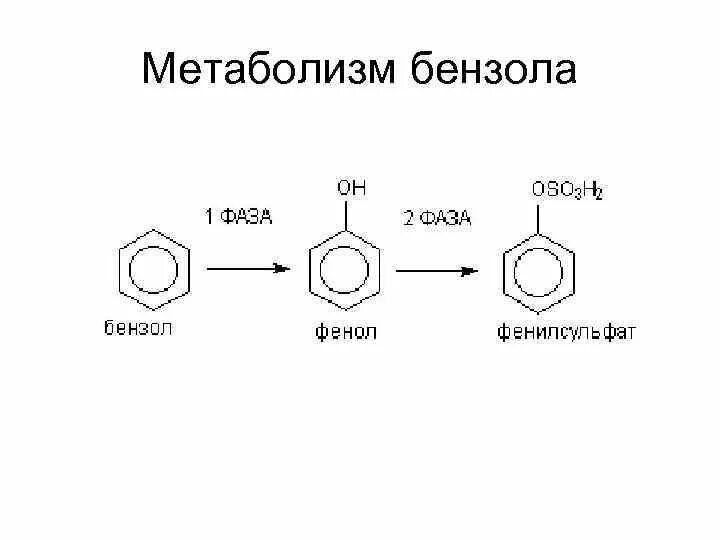 Схема детоксикации бензола. Метаболизм бензола. Превращение бензола в фенол. Реакция обезвреживания бензола. Бензол и кислород