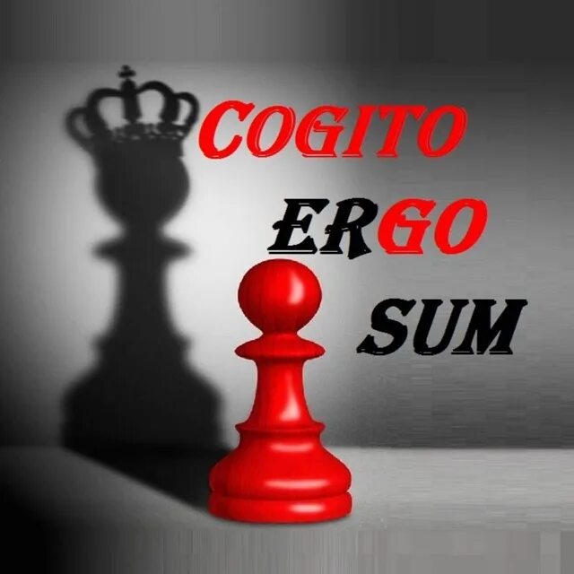 Эрго сум. Cogito Ergo sum. Cogito Ergo sum картинки. Cogito Ergo sum рисунки. Incognito Ergo sum.