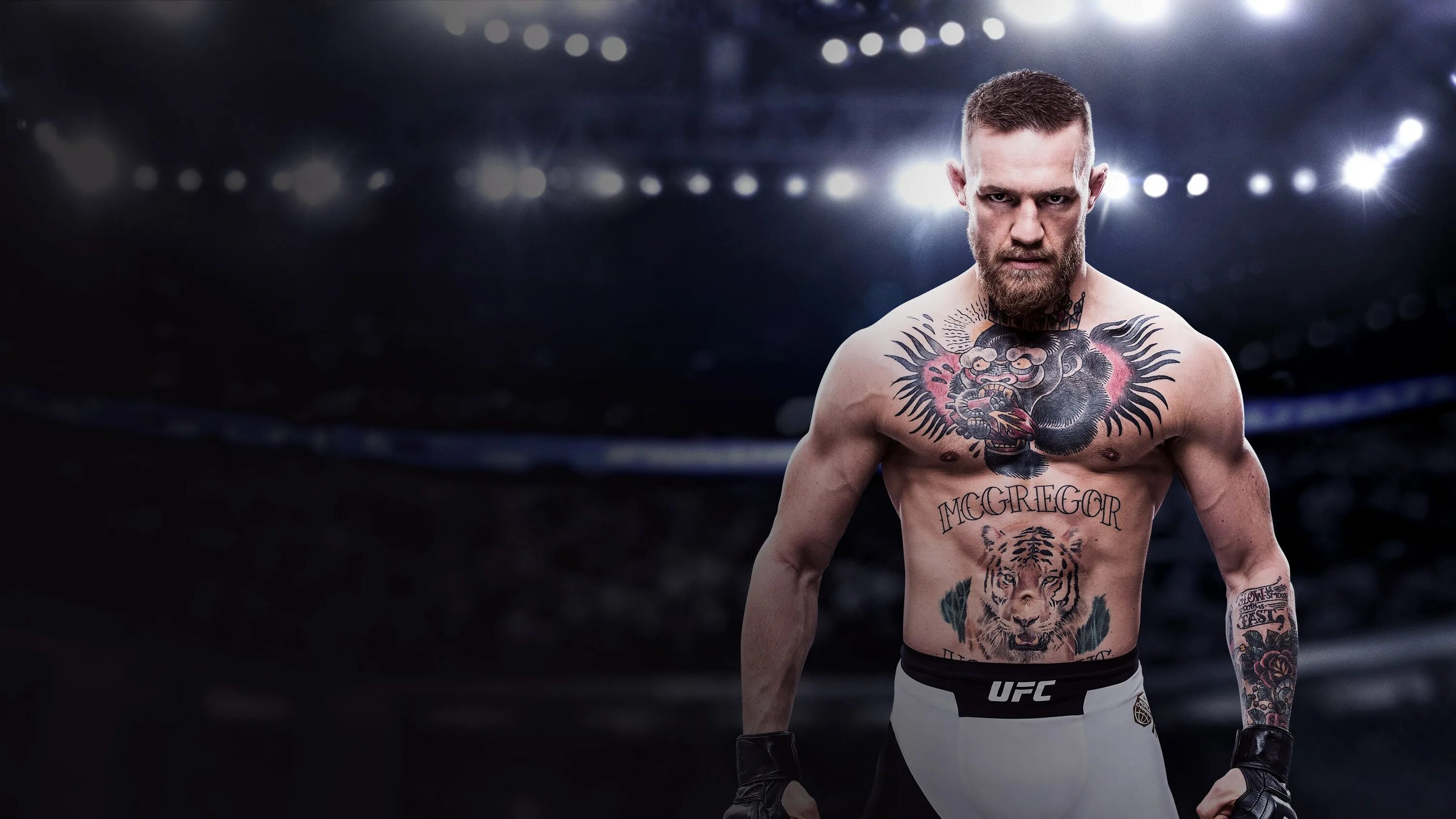 Ufc 03.03. Юфс 3. UFC 3 PC. UFC 3 ps4. EA Sports UFC 4.