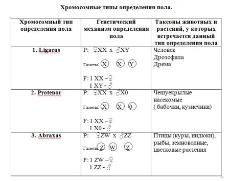 Какие вам известны механизмы определения пола. 4 Основных типа хромосомного определения пола. Тип определения пола у человека. 4 Типа хромосомного определения пола у животных:. 2. Основные типы хромосомного определения пола у животных..