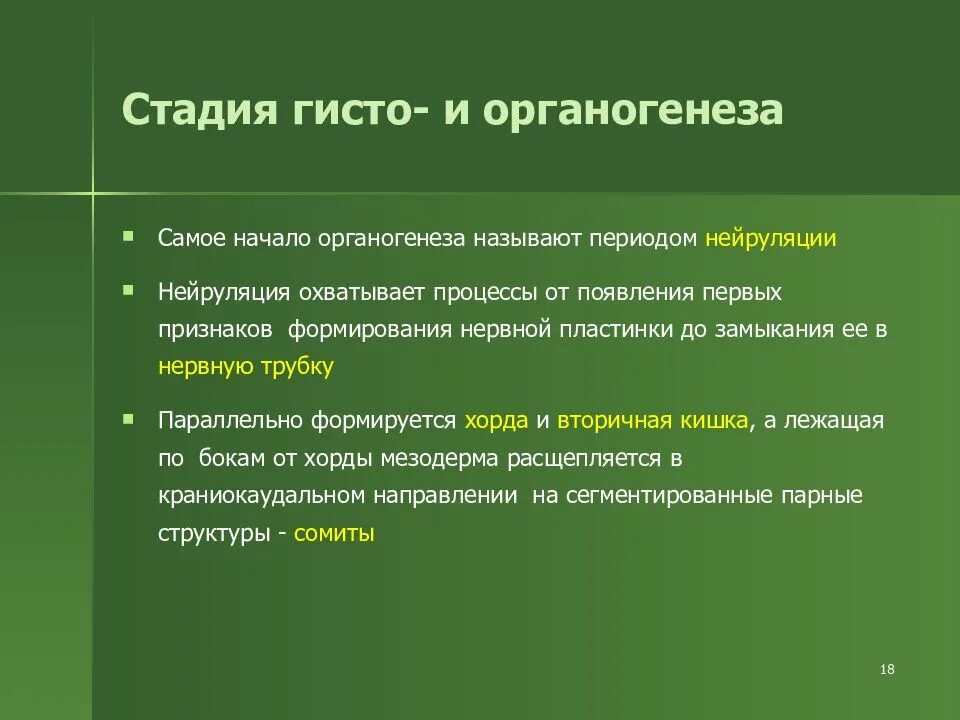 Выберите верные утверждения характеризующие стадии органогенеза