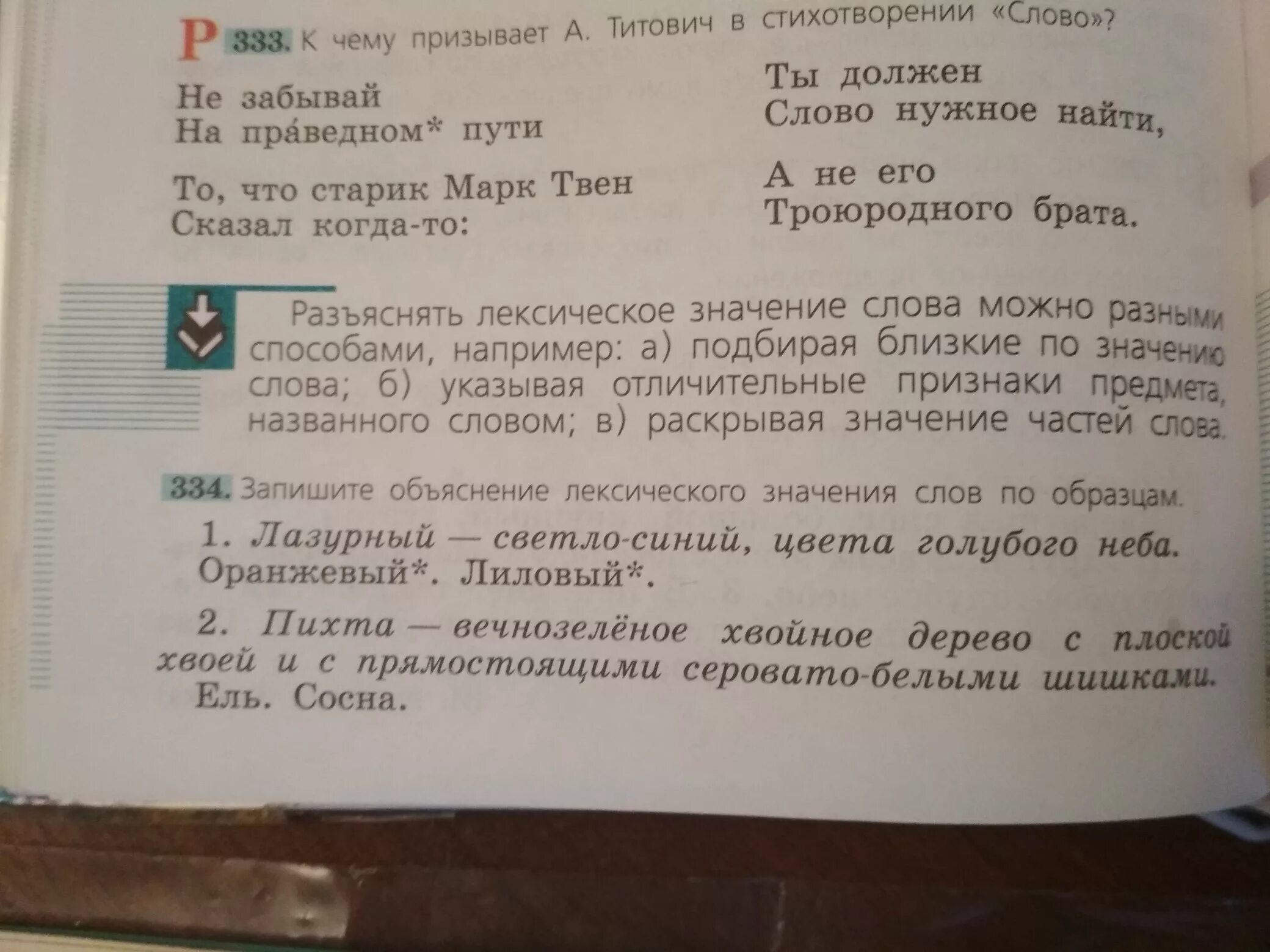 Объяснение слова есть. Сосна лексическое значение. Объяснение лексического значения слова сосна. Лексическое значение слова ель и сосна. Объяснение слова ель.