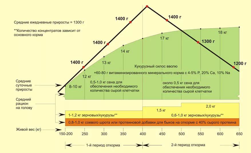 Прирост теленка