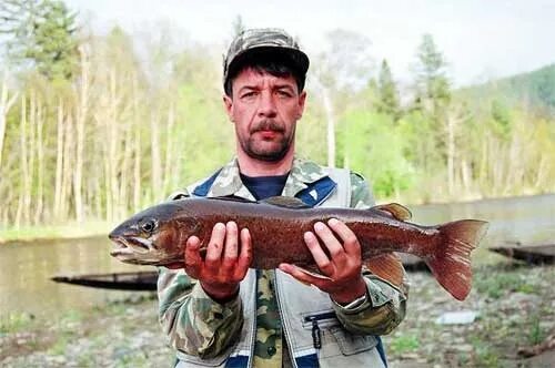 Ускуч село. Сибирский Таймень рыба. Ускуч Чойский район. Пресноводный лосось 5 букв сканворд. Лососевая рыба сканворд 5