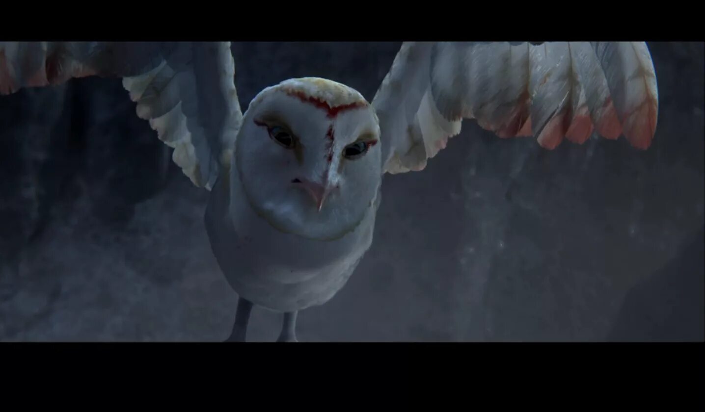 Ga hoole guardians the owls legend. Стрига легенды ночных стражей. Ночные Стражи Финни. Легенды ночных стражей Отулисса. Легенды ночных стражей мгла.