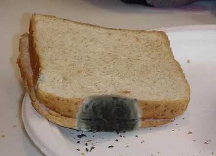 Getting bread