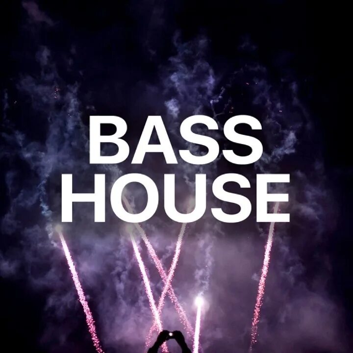 Bass house 2024. Bass house 2024. Bass house mix. Басс хаус хаус. Style: bass house.