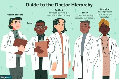 Who Are Doctors, Residents, Interns, and Attendings? 