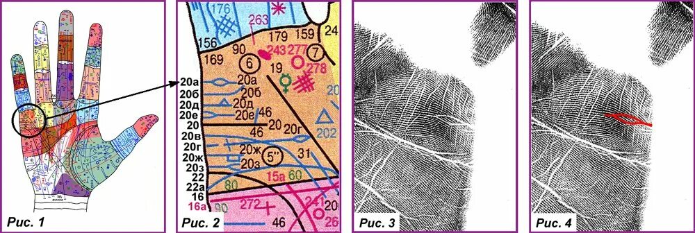 Линия жизни продолжительность жизни. Хиромантия атлас Финогеева. Хиромантия Датировка линии брака. Рука хиромантия схема. Линия супружества на ладони.
