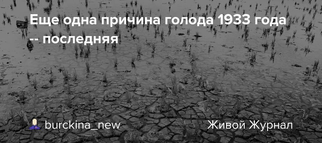 Места голода 1933 контурная карта. Причина голода стало