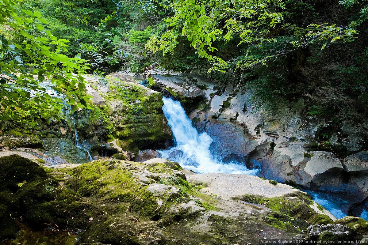 жоэкварское ущелье в гаграх. красивая природа абхазии. абхазия природа фото. река псоу. озеро рица пицунда.