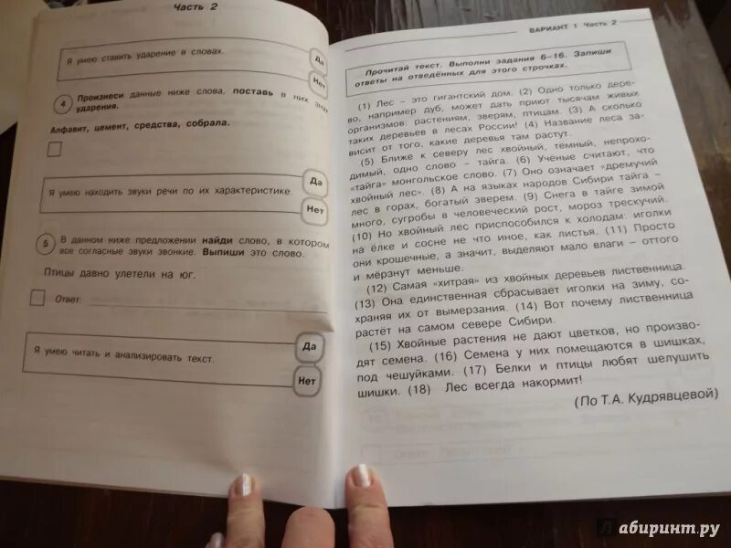 Здравствуй утро впр 6 класс ответы. ВПР по русскому языку 4 класс 25 вариантов вариант 6 часть 2. Задачи из ВПР 4 классы. ВПР 4 классах по русскому. Задания по русскому языку подготовка к ВПР.