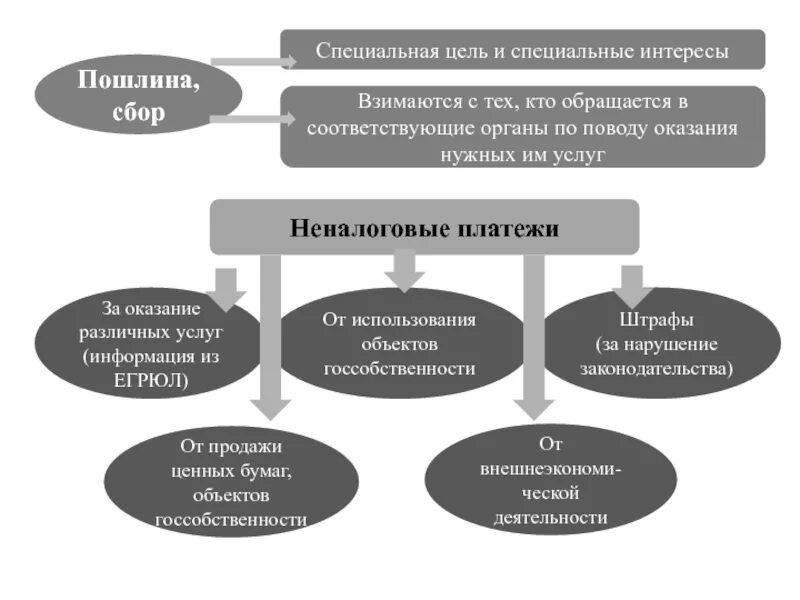 Группа особых интересов. Сбор пошлин. Пошлина и сбор различия. Налог пошлина сбор разница. Налоги сборы взносы пошлины сходства и различия.