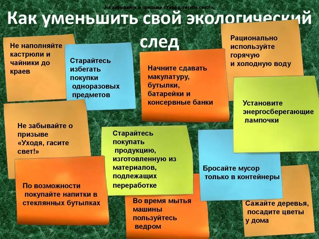 Интересные факты по экологии. Интересные факты об эколо. Экологические факты интересные. Интересные факты об экологии для детей. Проблема экологии факты