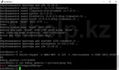 Настройка dns bind9