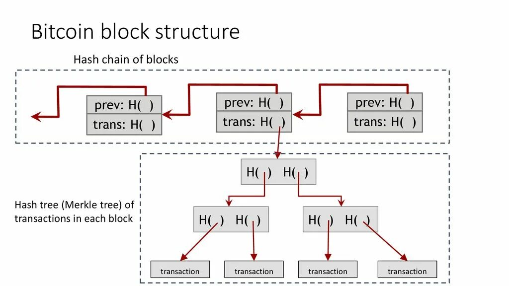 Cannot run inside a transaction block. Blockchain block structure. структура блока биткоина. структура транзакции биткоин. структура блокчейн.
