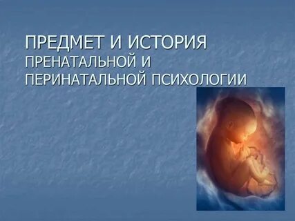 Перинатальная система
