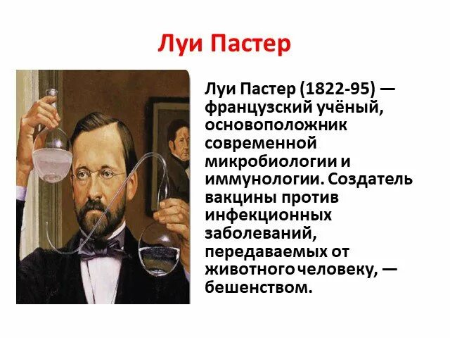 Луи Пастер бешенство. Всемирные духовные сокровища сообщение. Луи Пастер микробиология. Луи Пастер вклад в иммунологию. Пастер в церкви