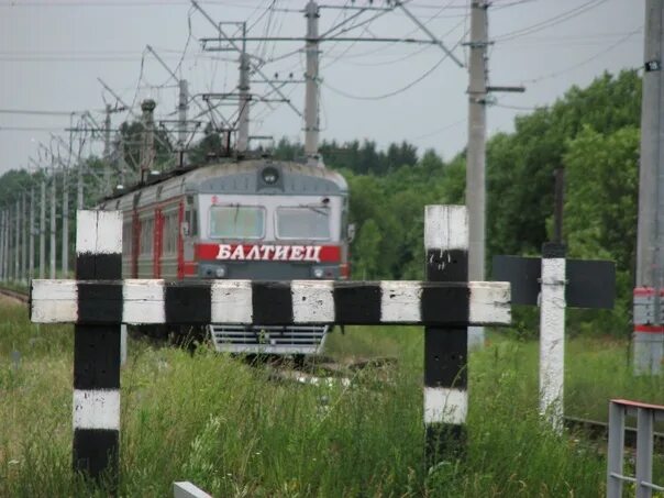 Пудость тайцы. Станция Пудость Гатчинский район. ЖД станция Пудость Гатчинский район. Платформа Пудость. Пудость 2023.