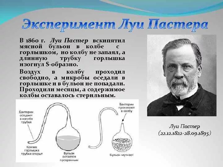 Луи Пастер самозарождение. Луи Пастер теория самозарождения. Луи Пастер и витализм. Луи Пастер самозарождение жизни опыт. В эксперименте исследователь определял изменение химического состава