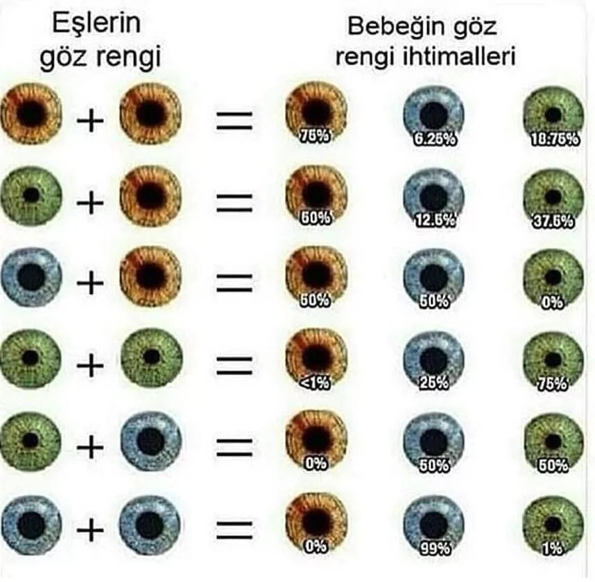 Смешать цвет глаз. Цвет глаз. Цвет глаз родителей и детей. Таблица цвета глаз у ребенка. Сочетание цвета глаз родителей и детей.
