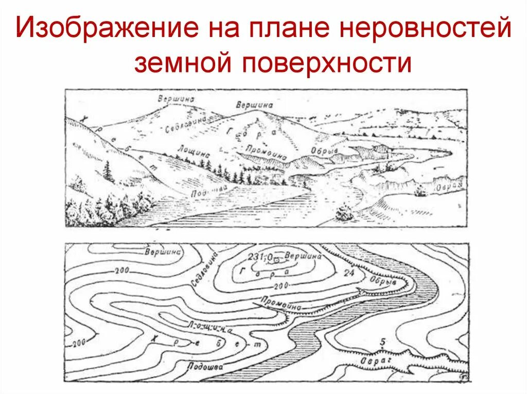 Карта изображение земной поверхности. Равнинный рельеф на топографических картах. Топографическая карта равнинная местность. Равнинная местность топография. Изображение горизонталями типовых форм рельефа..