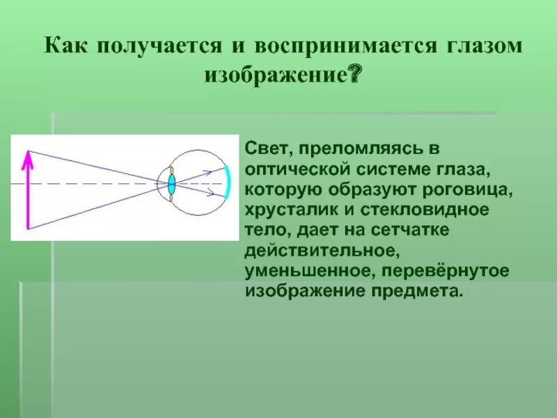 Что воспринимает световое изображение прошедшее через зрачок. Перевернутое изображение в глазу. Глаз как оптическая система. Хрусталик глаза воспринимает свет. Глаз воспринимает свет рисунок.