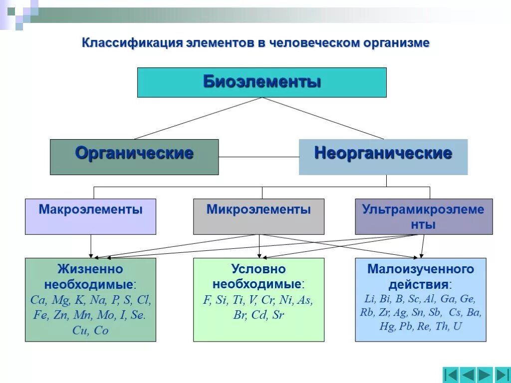 Жизненно необходимая вид связи. Классификация элементов в человеческом организме. Классификация макро и микроэлементов в организме. Макроэлементы и микроэлементы в организме. Классификация микроэлементов в организме человека.