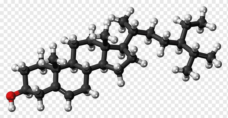 Молекула липида. Молекула холестерина. Молекула жира. Молекулы без фона.