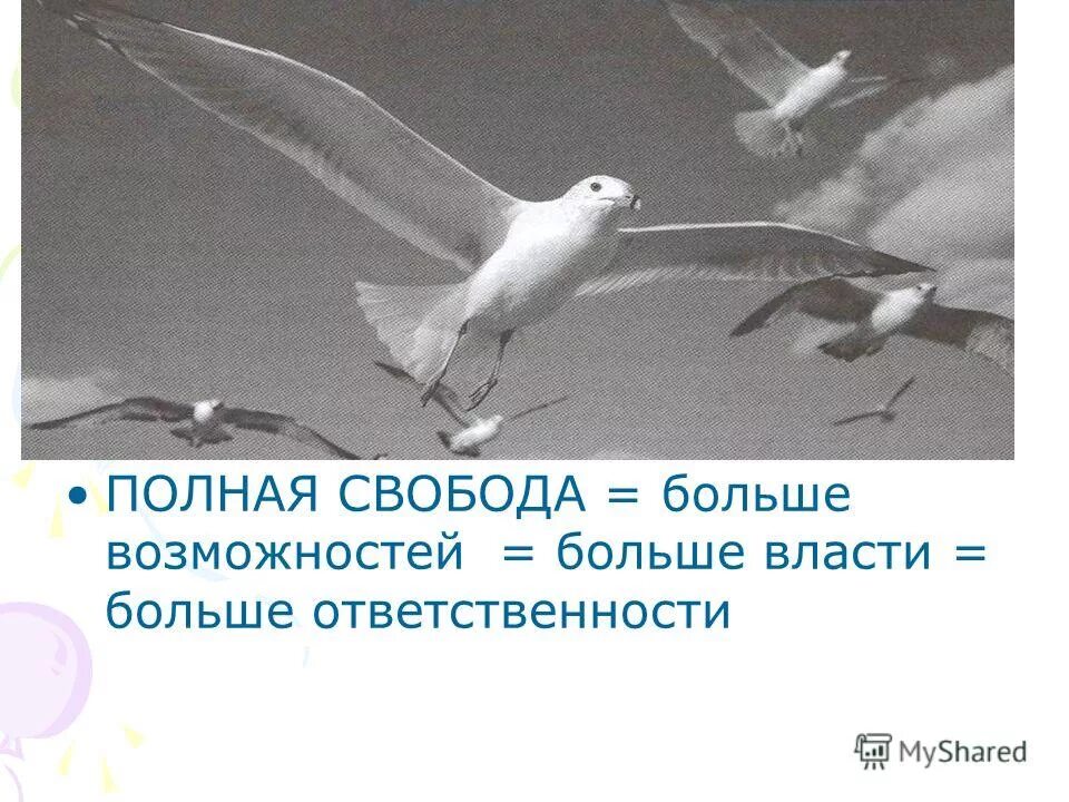 предоставят полную свободу. дай человеку свободу и он. полная свобода цитата. даешь свободу. как называется полная свобода действий.
