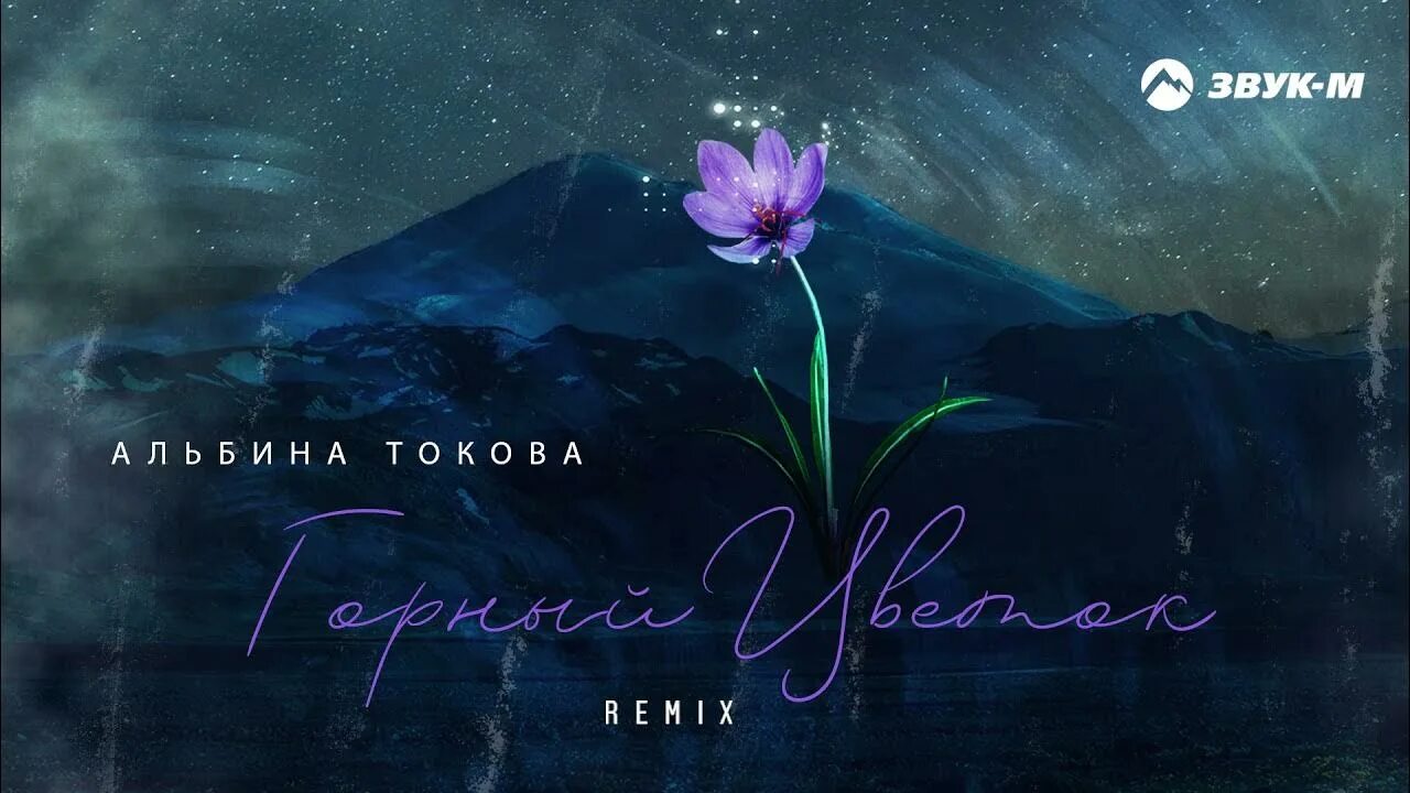 Горные растения. Крымский эдельвейс цветок. Горный цветок. Горный белый цветок. Водосбор цветы альпийские луга.
