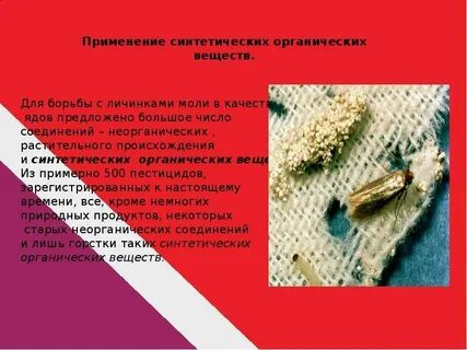 Слова органического употребления