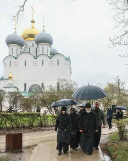 Лавру 24