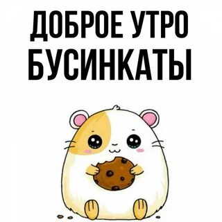 Бусин мем