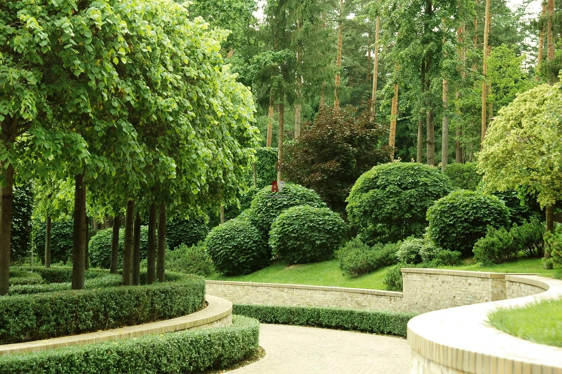 Парковые растения. Великобритания bodnant сады уэльс. Парковые растения. Топиарное искусство в ландшафте. Топиарная стрижка кипарисовика.