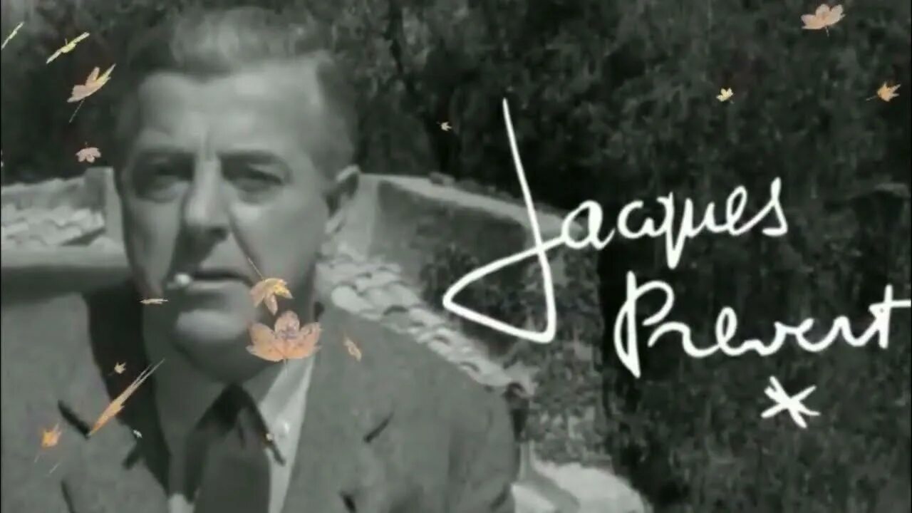 Жак превер (1900—1977). Жак превер с котом. Превер. Жак превер птицы. Жак превер как нарисовать птицу.