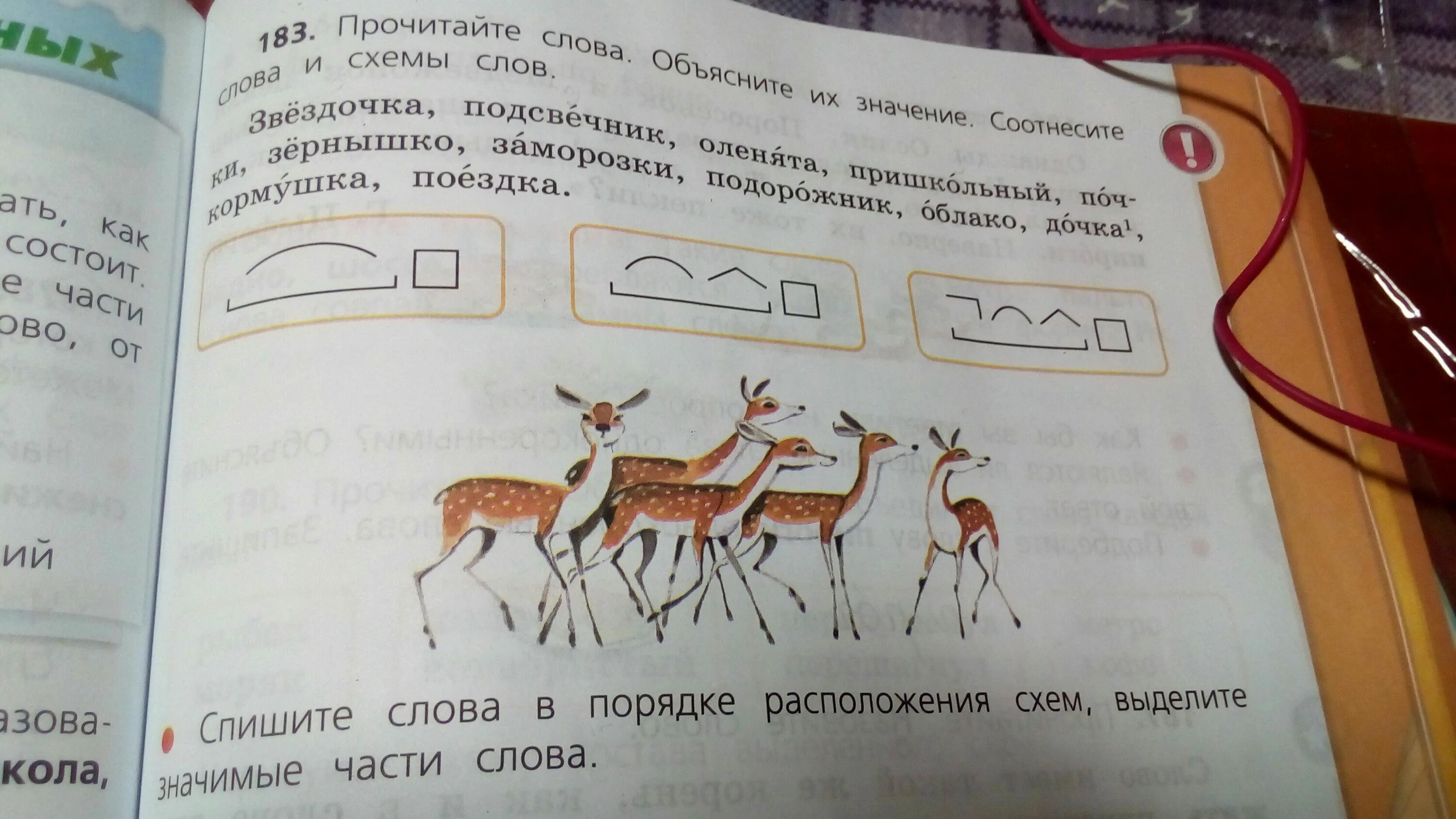 Разбор слова прочитаешь. Разбор слова по составу олененята. Олененок по составу. Оленята разбор слова по составу. Разобрать слово по составу Олененок.