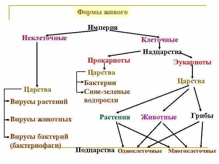 Классификация живых организмов биология схема. Царство живой природы классификация схема. Классификация живых организмов схема 9 класс. Империя клеточные и неклеточные схема.