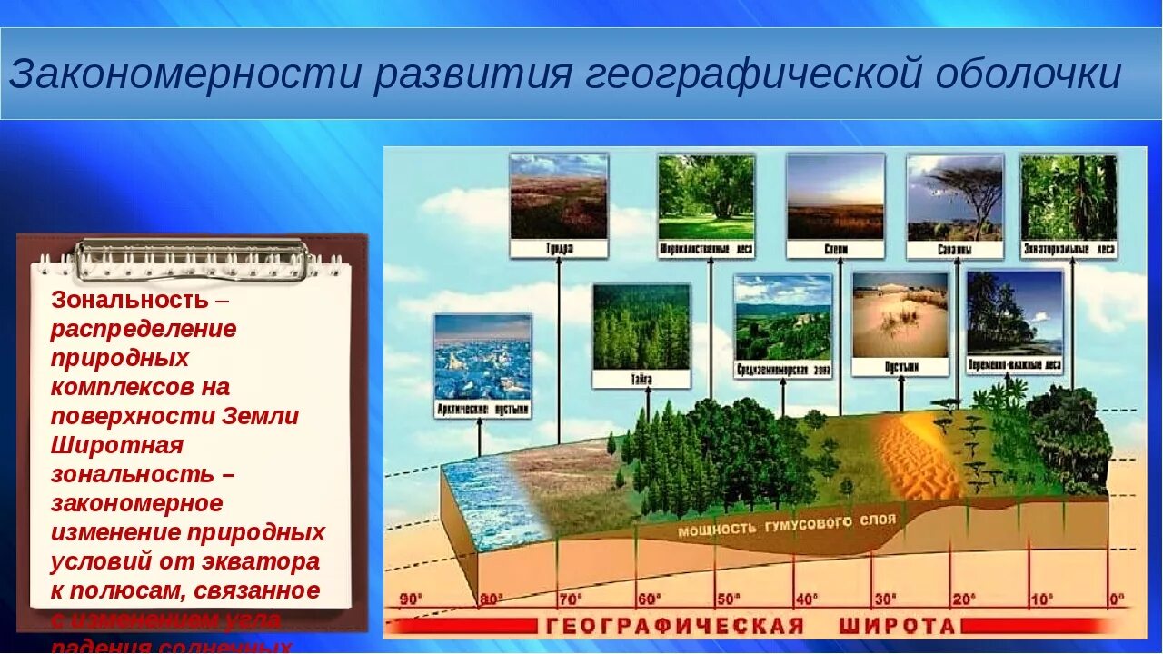 Географическая зональность. Закономерности географической оболочки. Зональность географической оболочки. Зональность природных комплексов.