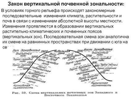 Распространение почв подчиняется закону