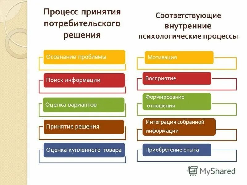 Процессы мотивации и принятия решений. Процессы мотивации и принятия решений