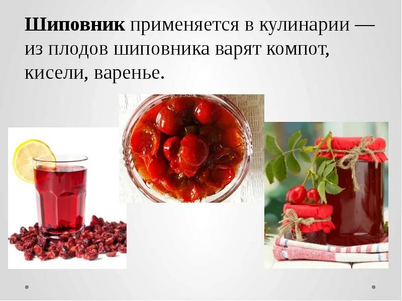 Шиповника майского плоды показания. Технологическая карта шиповник. Напиток из шиповника. Шиповник для чего полезен. Технологическая схема петровского напитка.