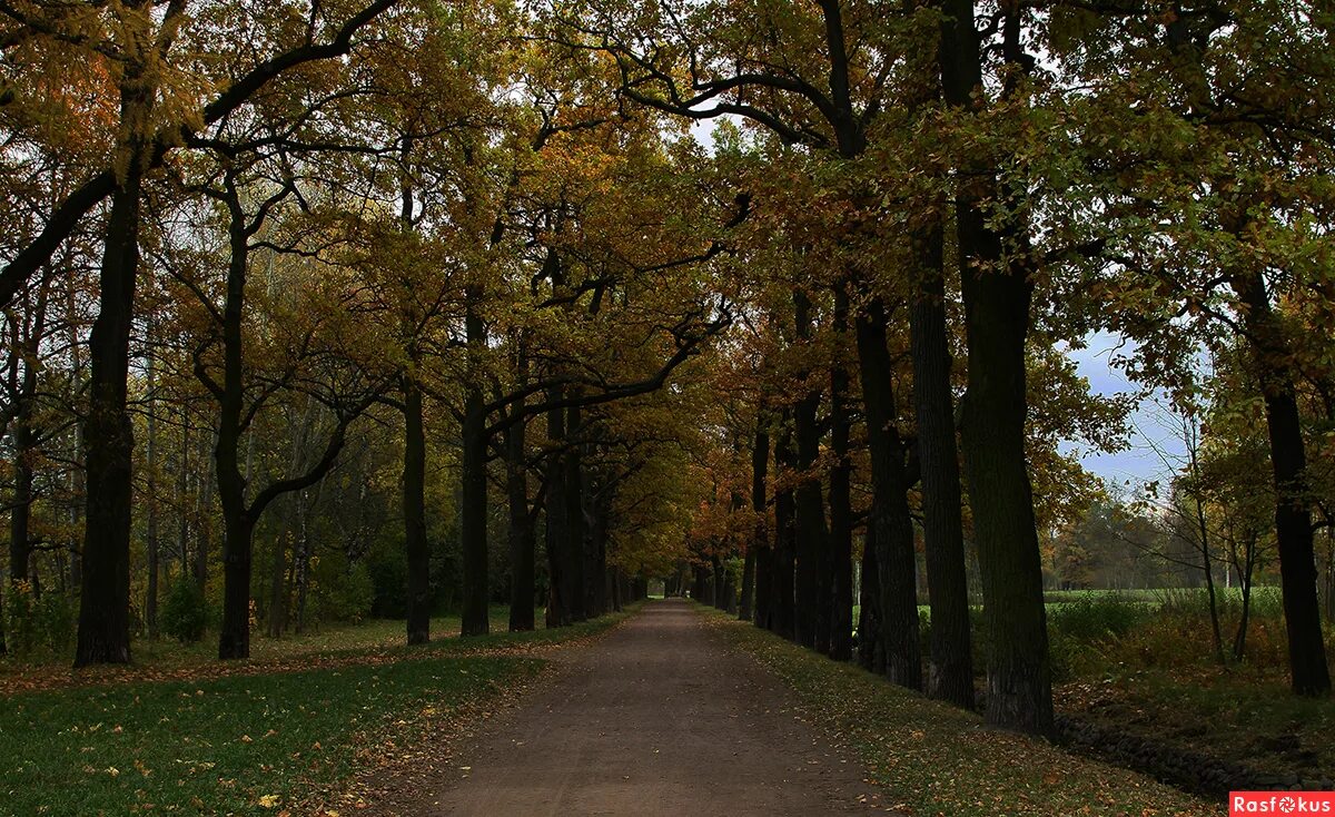 File:Нижний Ламский мост 3. Александровский парк, Пушкин.jpg - Wikimedia Commons