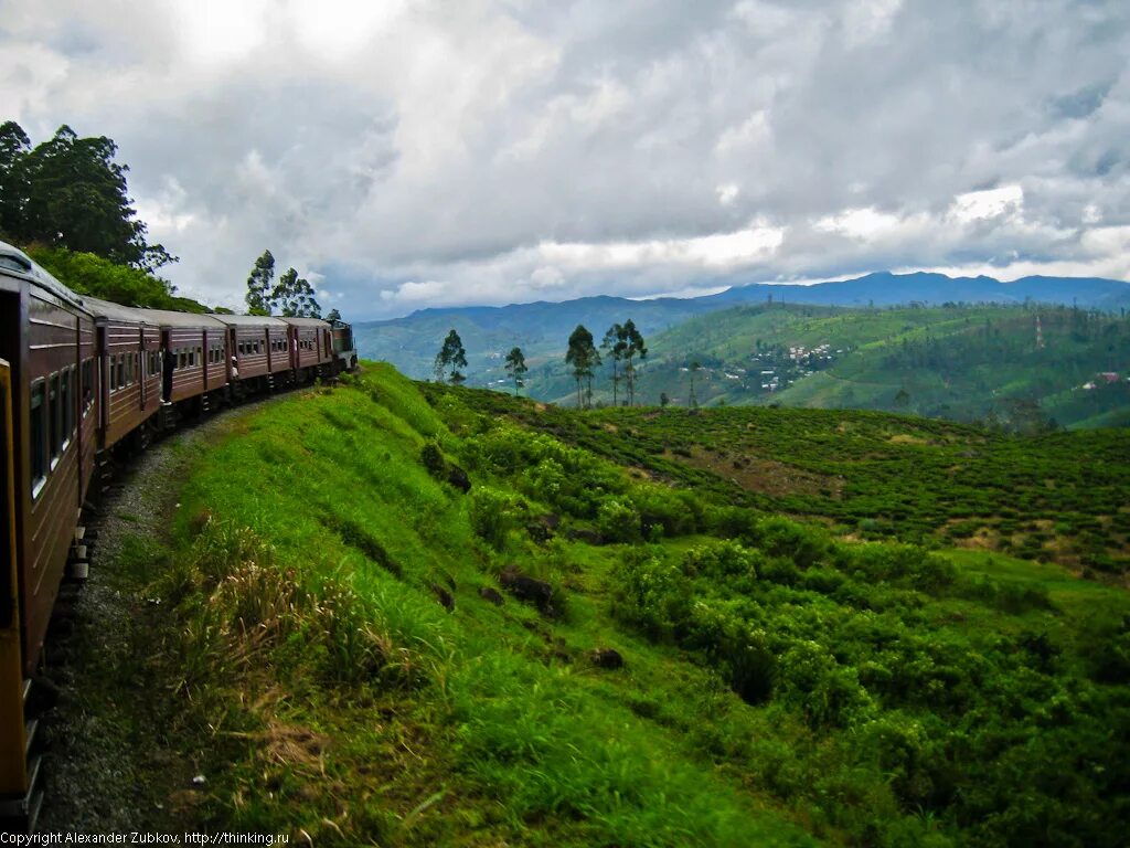 поезд шри ланка. шри ланка чайные плантации поезд. шри ланка железная дорога. шри ланка хиккадува поезд. поезда шри ланки.
