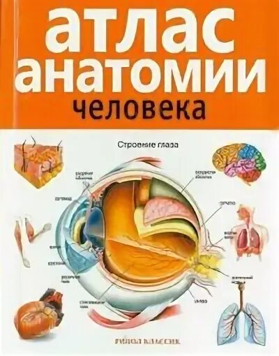 Лучший атлас по анатомии человека