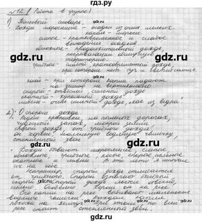 Упражнение 12 русский язык 11 класс